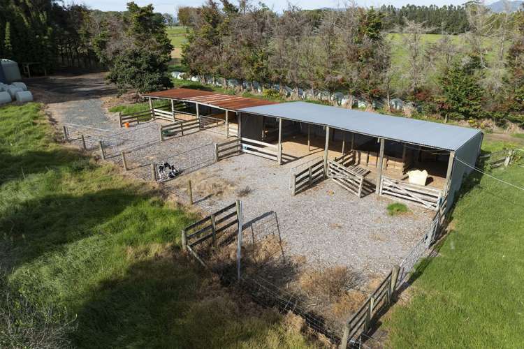 782 Gill Road Kaitaia_7