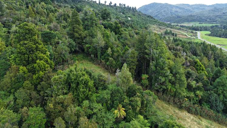 40Ha Block State Highway 67 Mokihinui_36