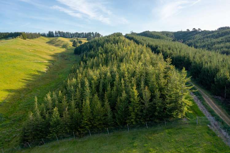 182 Malling Road Redwood Valley_44