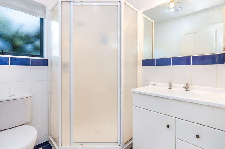 1/2 Astelia Way Waipahihi_10