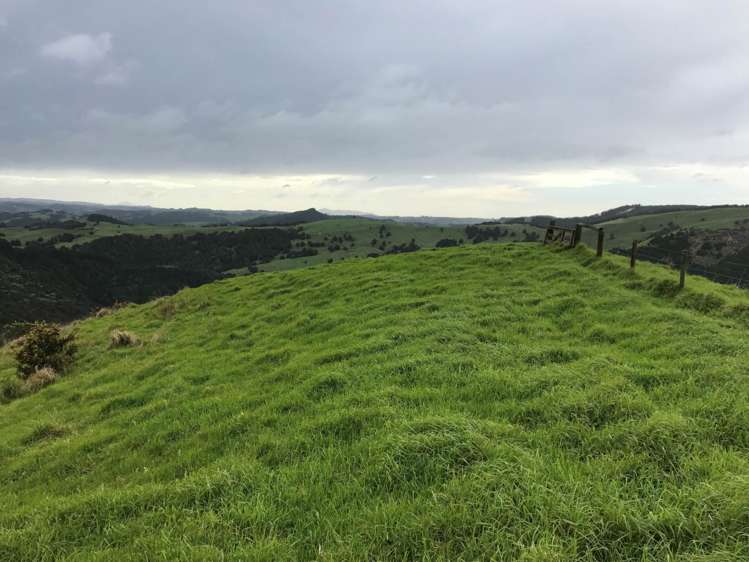 297a Wilson Road Wellsford_6