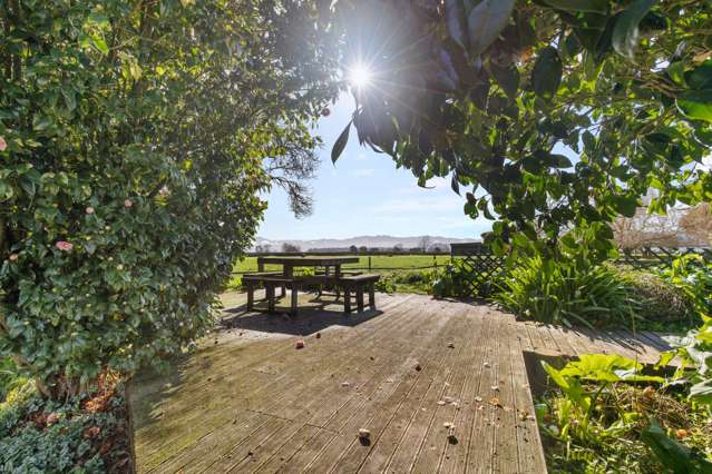 1141 Alexandra Road Manawaru_3