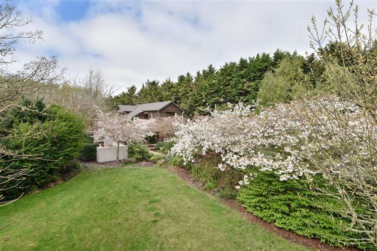 468 Marshland Road Marshland_25