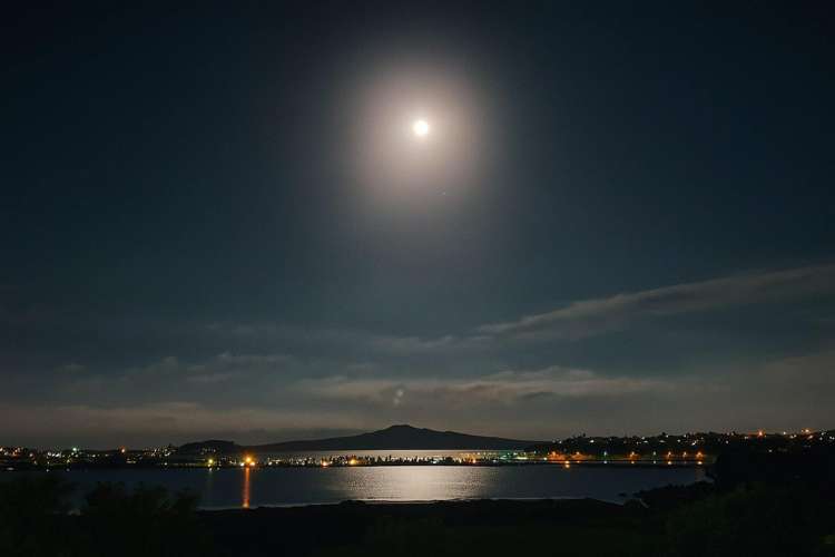 149A Arney Road Remuera_23