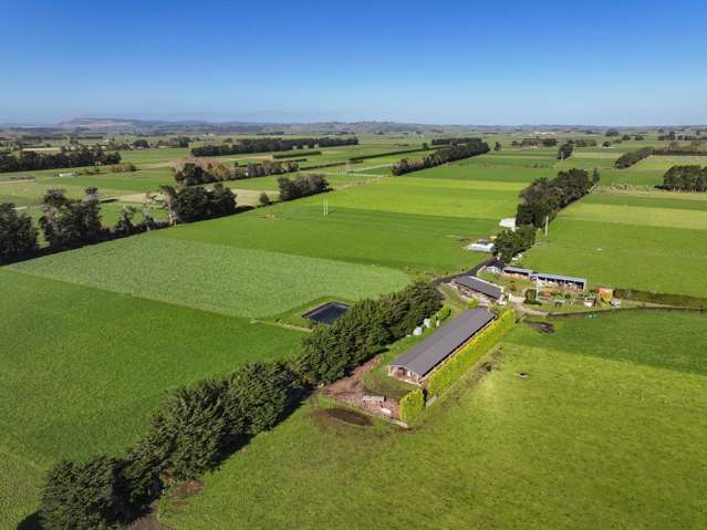 Edendale Dairy Unit