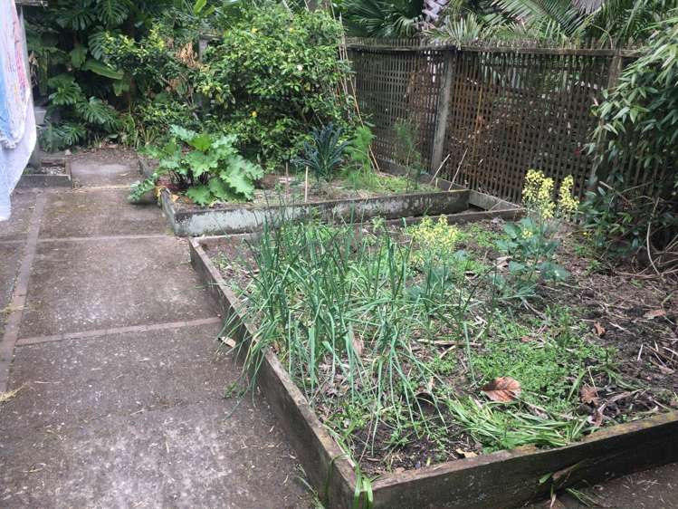 95 Mcentee Road Waitakere_17