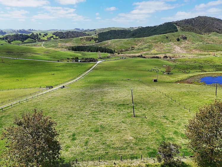 Lot 6 Greenhill Road Ruawai_5