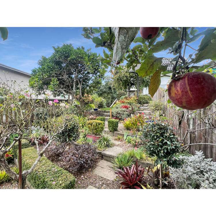 6 Strathmore Place Whakatane_16