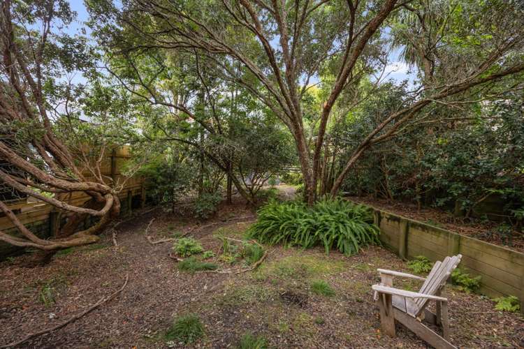 33 Sussex Street Grey Lynn_3