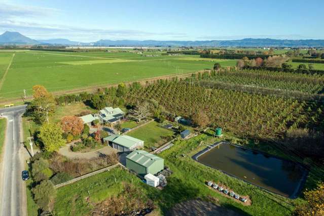 Lucrative Gold Kiwifruit, Substantial Home