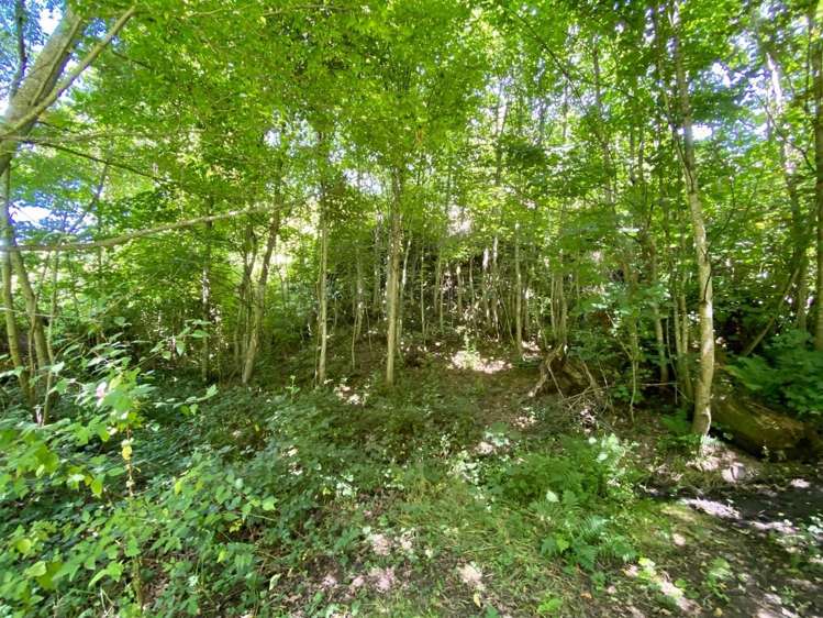 3 Scarborough Terrace Hanmer Springs_18