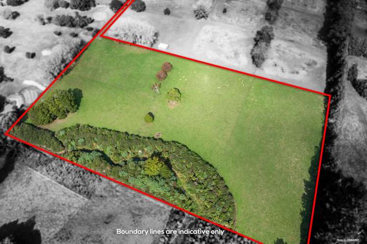 1/205C Ingram Road Bombay_5