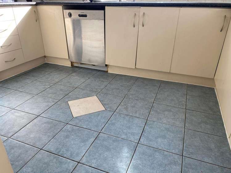 65 Burbank Avenue Clendon Park_6