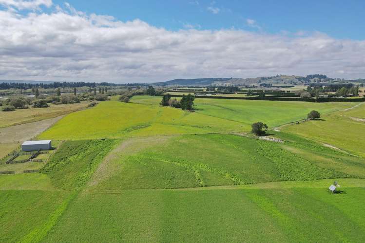 590 Ashley Road Summerhill_25