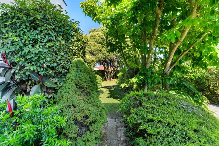 11 Coleman Terrace Hospital Hill_26