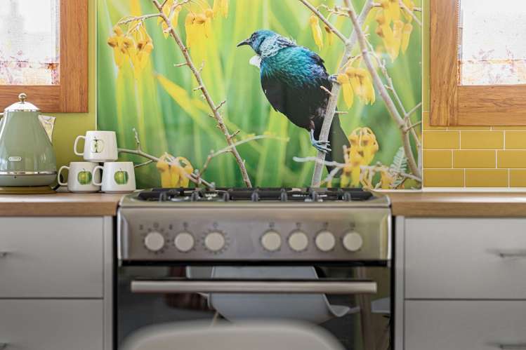 8 Harper Street Gonville_3