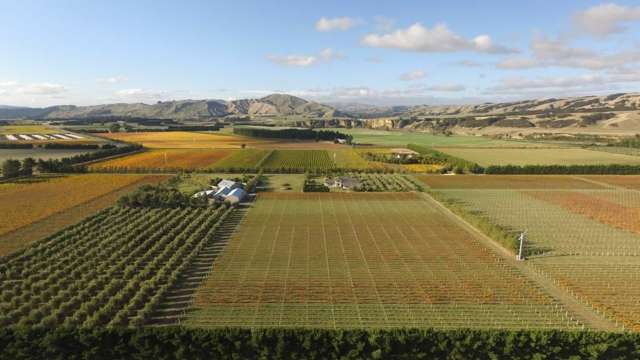 469 Te Muna Road Martinborough_3