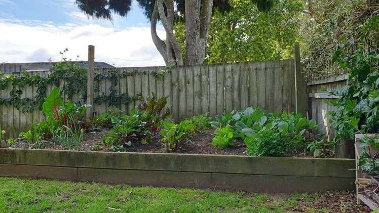 82 Matipo Road Te Atatu Peninsula_15