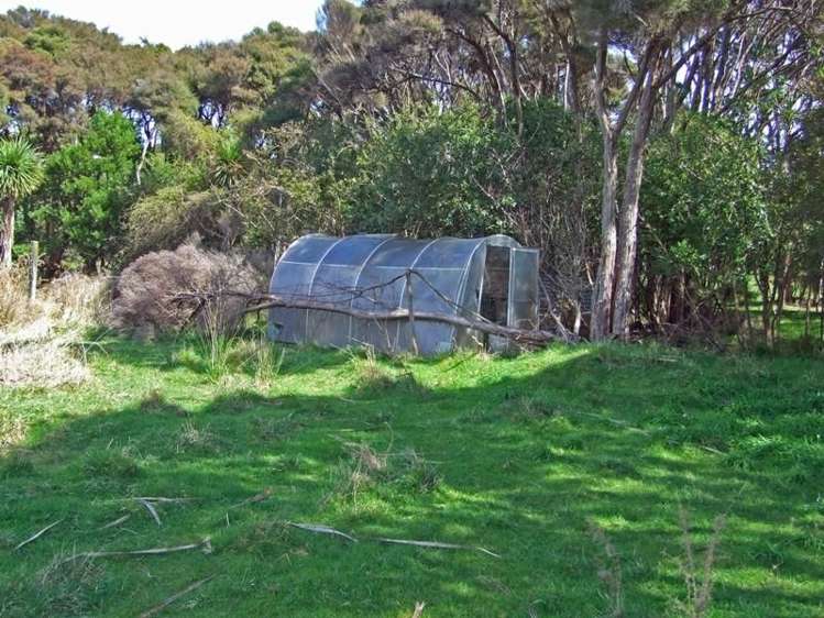 172 Wharariki Road Kahurangi National Park_5