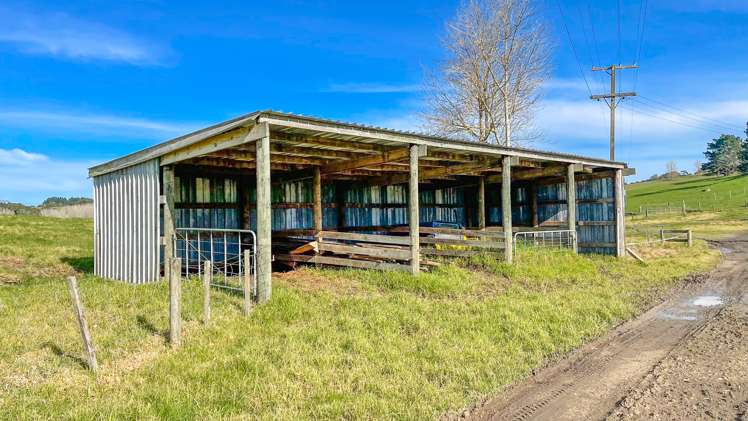 377 Bain Road Ruawaro_6