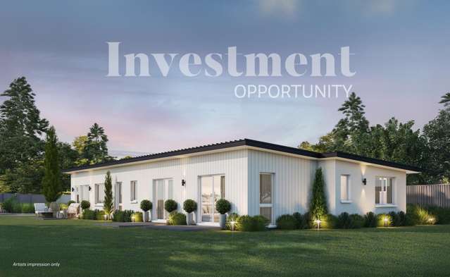 Investment Opportunity! 2 Homes in One!