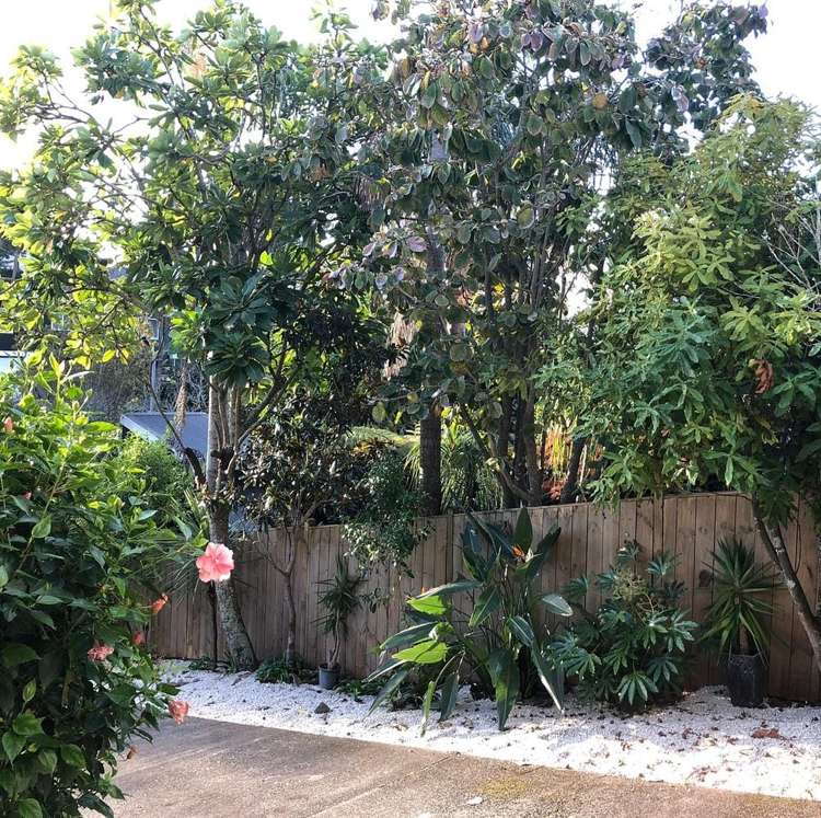 23 Hampton Drive Saint Heliers_16