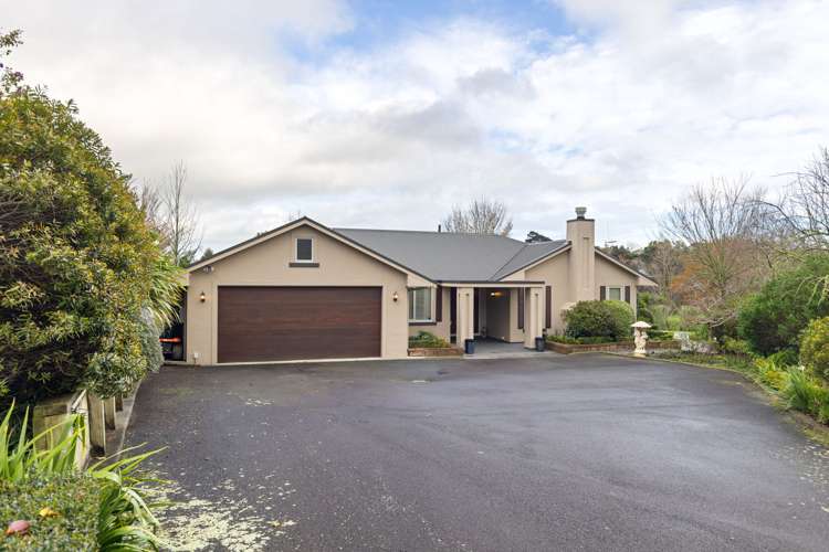 37 La Lena Grove_0