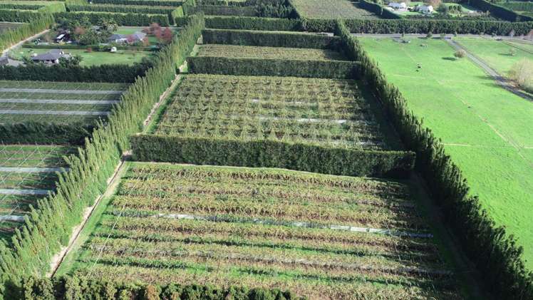 369b Kapiro Road Kerikeri_3