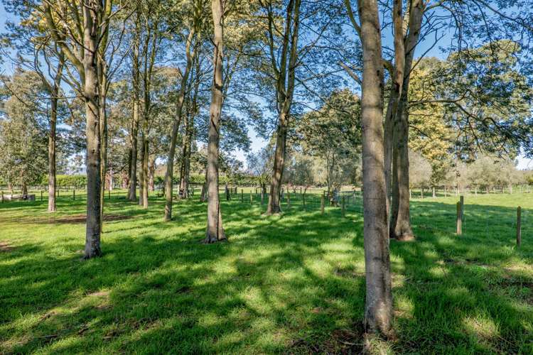 225 Blakes Road Prebbleton_16