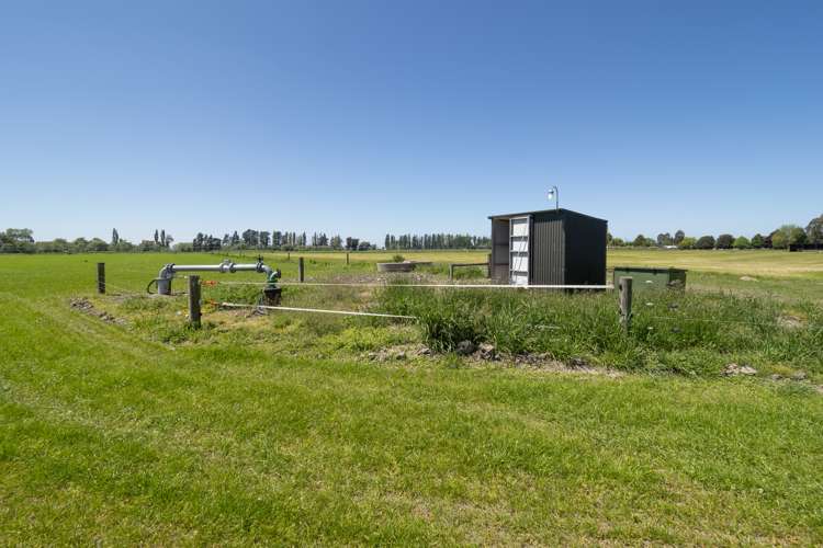 Framptons Road Hinds_5