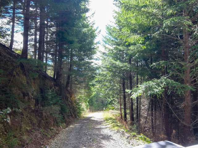 State Highway 63 Wairau Valley_4