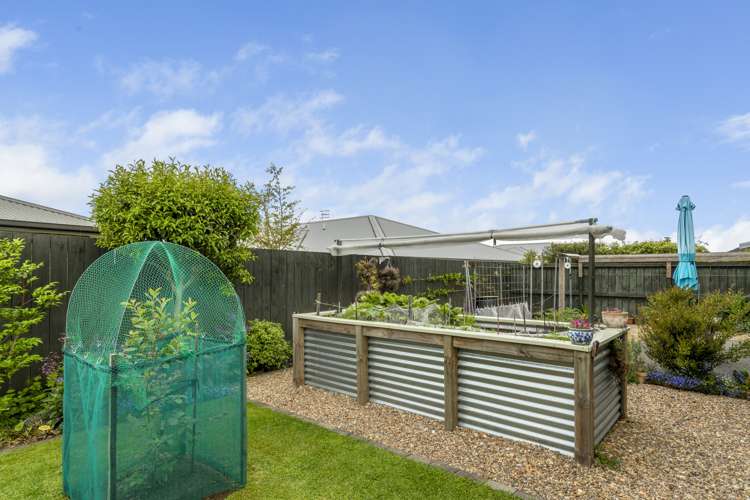 6 Coleman Place Katikati_12