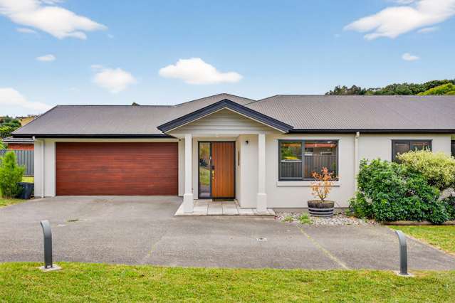 123 Kent Terrace Taradale_3