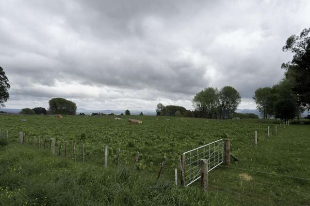 Deep Creek Road Reporoa and Surrounds_3