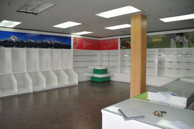 330 Dominion Road Mt Eden_2