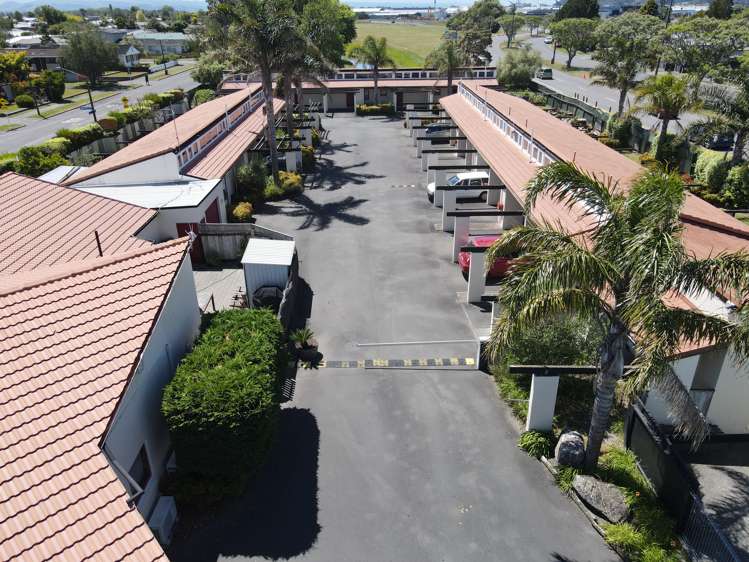 4 Westminster Avenue Tamatea_5