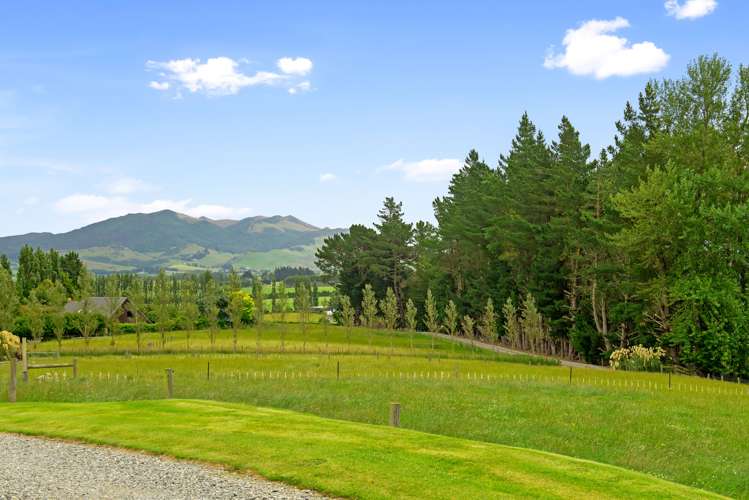 154 Whiterig Road Gore Surrounds_16