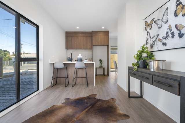 Brand New Standalone on Desirable Street
