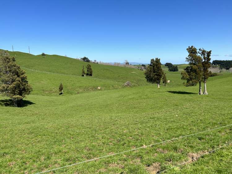 76412 State Highway 2 Rangitikei Surrounds_21