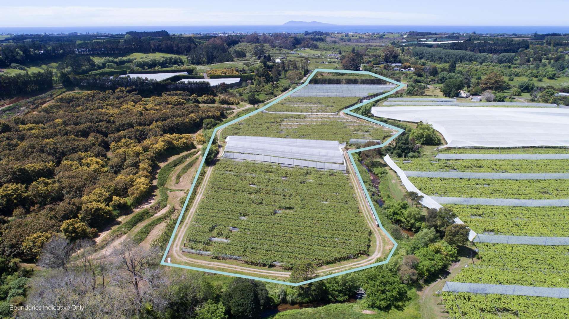 41D Ross Ware Drive Athenree_0