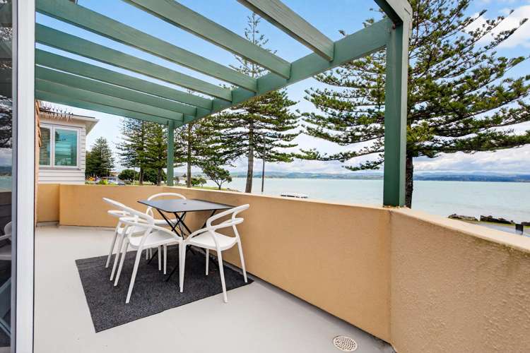 40 Hardinge Road Ahuriri_20