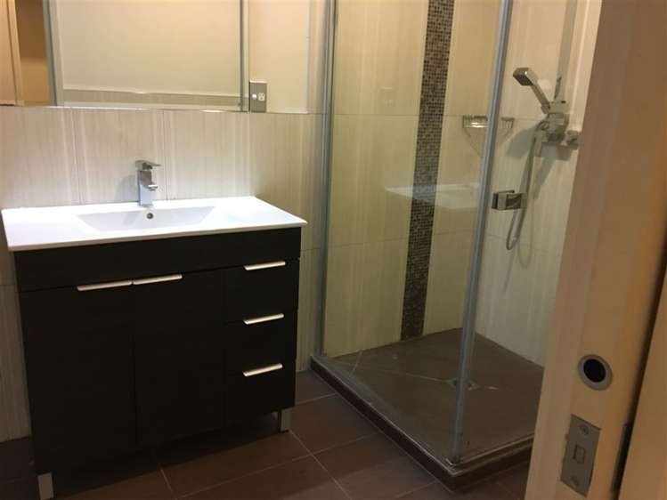 3 Katavich Place Mount Roskill_2