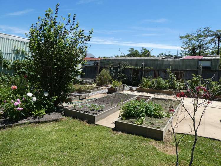 7 Greenfield Street Hector_14