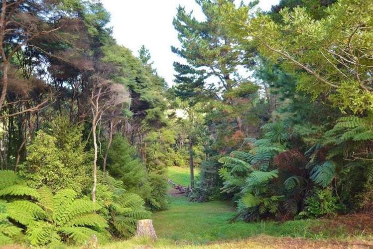 44a Crows Road Swanson_5