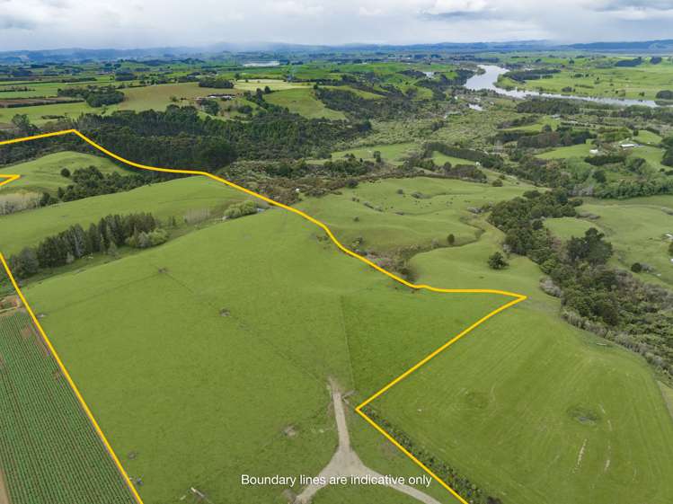 89 Punga Punga Road Pukekawa_12