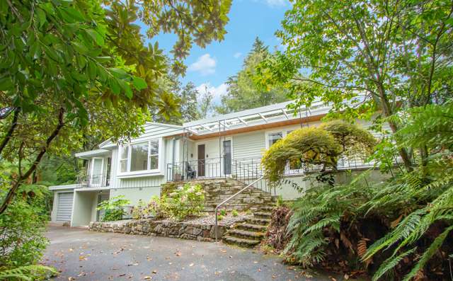 403 Old Taupo Road Springfield_1