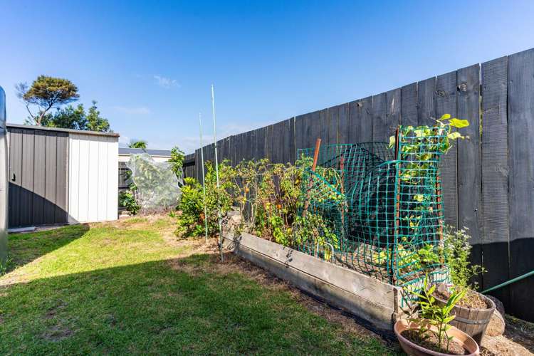 10 Ti Tree Place Mangawhai Heads_20