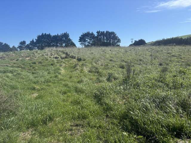Beach Road Oamaru_2