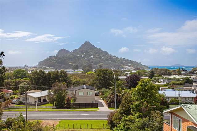 333 Main Road Tairua_4