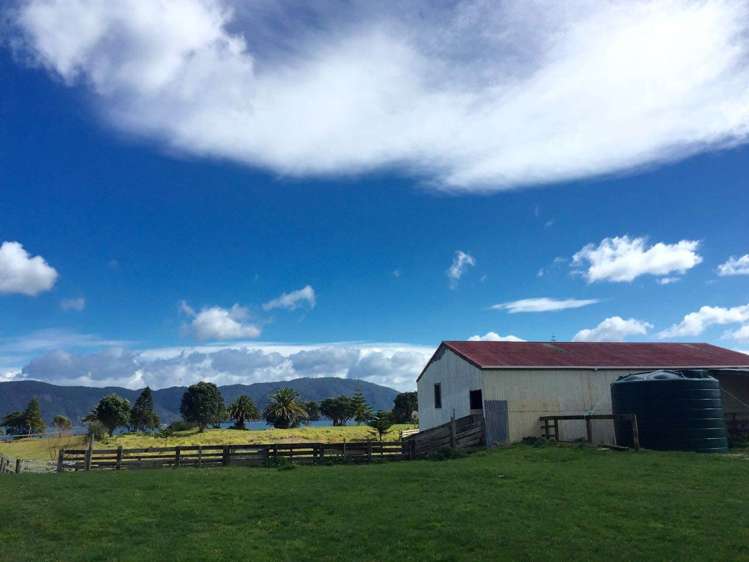 190 Pacific Ocean, Slipper Island (Whakahua) Thames_56